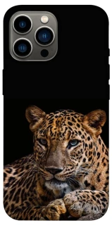 Чехол на Apple iPhone 12 Pro Max (6.7") Leopard v4 фото 1 из 1