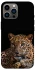 Чехол на Apple iPhone 13 Pro Max (6.7") Leopard v4 фото 1 из 1
