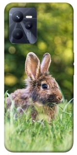 Чехол на Realme C35 Кролики фото 1 из 1