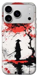 Чехол на Apple iPhone 17 Pro Max (6.9") Дух Японии фото 1 из 1