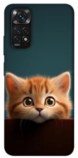 Чохол на Xiaomi Redmi Note 11 (Global) / Note 11S Чохол Кошеня фото 1 з 1