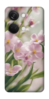 Чохол на OnePlus Nord 3 Spring фото 1 з 1