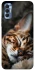 Чохол на TECNO Spark 8P Cat paws фото 1 з 1