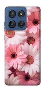 Чехол на Motorola Edge 60 Stylus Розовые цветы v2 фото 1 из 1