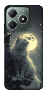 Чехол на Realme C61 Кот под луной фото 1 из 1