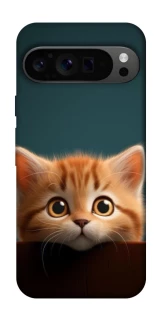 Чохол на Google Pixel 9 Pro Чохол Кошеня фото 1 з 1