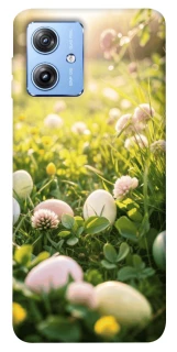 Чохол на Motorola Moto G84 Hello Spring фото 1 з 1