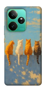 Чехол на Realme GT 7 cats on wall фото 1 Чехол на Realme GT 7 cats on wall фото 1 из 1