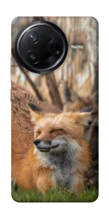 Чехол на Infinix Note 50 Pro Лиса фото 1 из 1