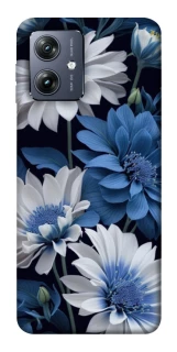 Чохол на Motorola Moto G54 Flowers v13 фото 1 Чохол на Motorola Moto G54 Flowers v13 фото 1 з 1