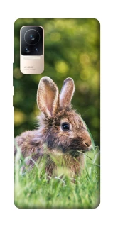 Чехол на Xiaomi Civi 6 Кролики фото 1 из 1