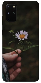 Чехол на Samsung Galaxy S20+ Ромашка v4 фото 1 из 1