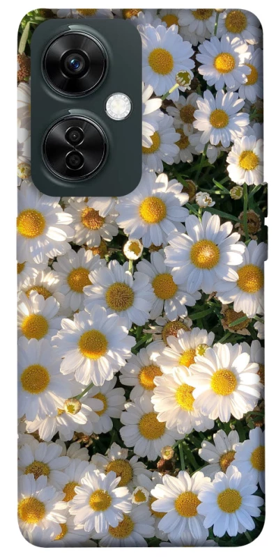 Чохол на OnePlus Nord CE 3 Lite Поле ромашок фото 1 з 1