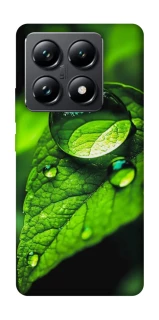 Чохол на Xiaomi 14T Pro Flowers v16 фото 1 з 1