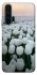 Чохол на Huawei Honor 20 Pro Flowers v1 фото 1 з 1