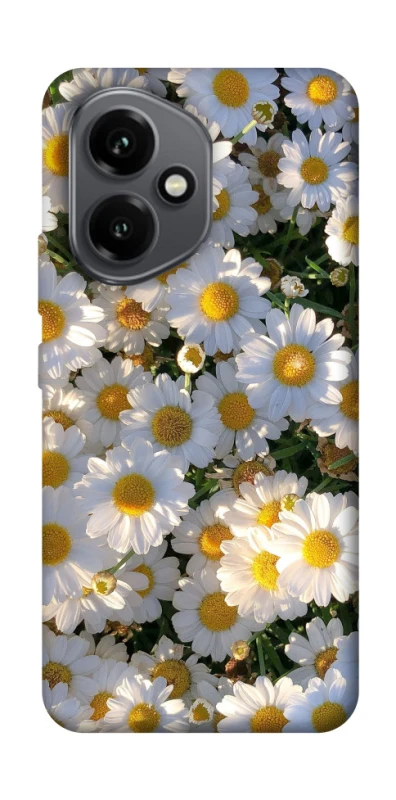 Чехол на Honor 400 Поле ромашек фото 1 из 1
