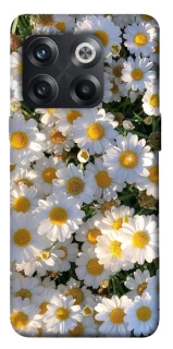 Чохол на OnePlus 10T Поле ромашок фото 1 з 1