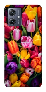 Чохол на Motorola Moto G54 Flowers v30 фото 1 Чохол на Motorola Moto G54 Flowers v30 фото 1 з 1
