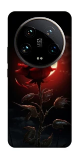 Чохол на Xiaomi 14 Ultra Червона троянда фото 1 з 1