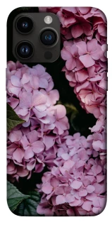 Чехол на Apple iPhone 14 Pro Max (6.7") Розовые гартензии фото 1 из 1