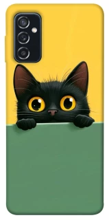 Чохол на Samsung Galaxy M52 Black cat v2 фото 1 з 1