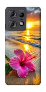 Чехол на Motorola Edge 50 Pro Flowers v22 фото 1 из 1