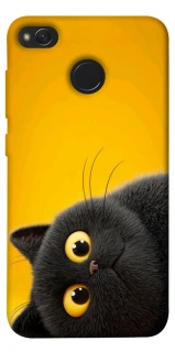Чохол на Xiaomi Redmi 4X This is Cat фото 1 з 1