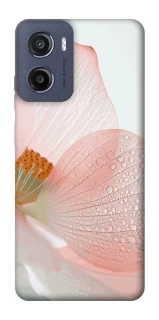Чохол на Motorola Moto E15 Flowers zon фото 1 з 1