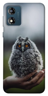 Чехол на Motorola Moto E13 Совёнок фото 1 из 1