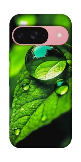 Чохол на Google Pixel 9 Flowers v16 фото 1 з 1