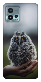 Чохол на Motorola Moto G72 Совеня фото 1 з 1