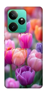 Чохол на Realme GT 7 Тюльпанове поле фото 1 з 1