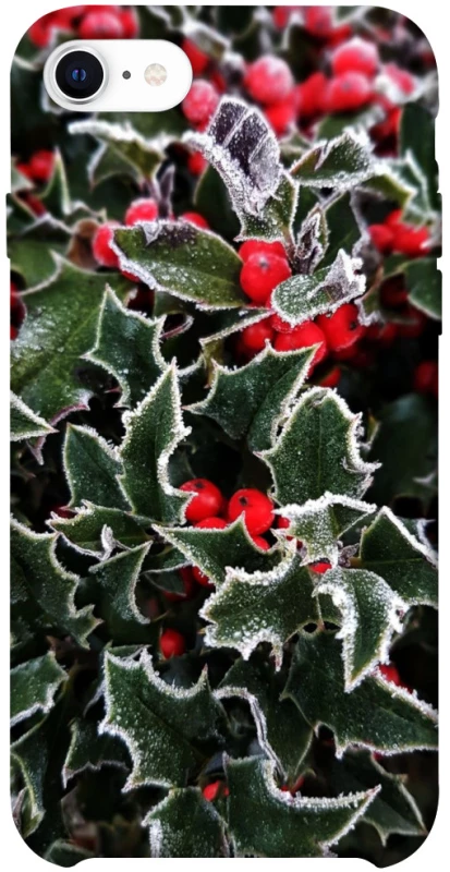 Чехол на Apple iPhone SE (2020) Новогодний v32 фото 1 из 1