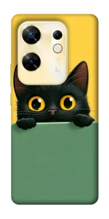 Чехол на Infinix Zero 30 4G Black cat v2 фото 1 из 1