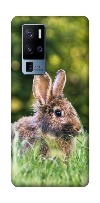 Чехол на Vivo X50 Pro+ Кролики фото 1 из 1
