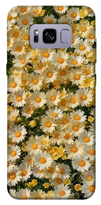 Чохол на Samsung G955 Galaxy S8 Plus Camomile фото 1 з 1