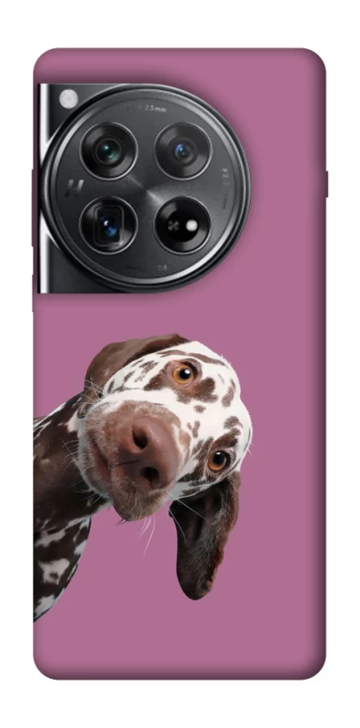 Чохол на OnePlus 12 А що тут фото 1 з 1