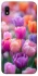 Чохол на Samsung Galaxy A10 (A105F) Тюльпанове поле фото 1 з 1