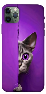 Чохол на Apple iPhone 11 Pro Max (6.5") Кіт-підглядач фото 1 з 1
