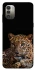 Чехол на Nokia G11 Leopard v4 фото 1 из 1
