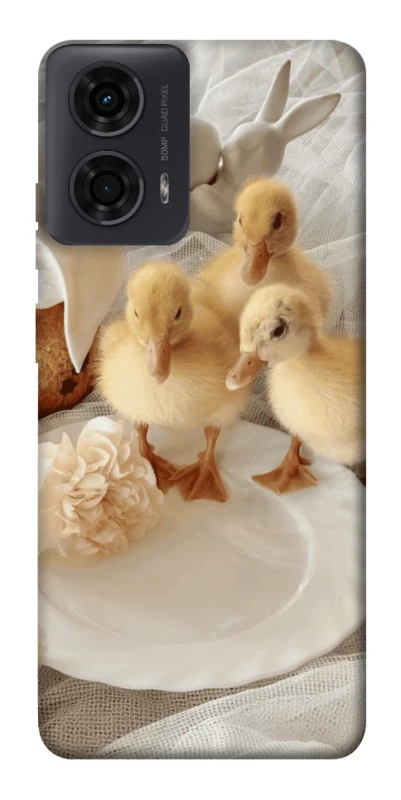 Чохол на Motorola Moto G04 Easter Vibes фото 1 з 1