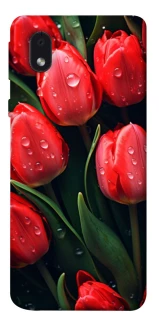 Чохол на Samsung Galaxy M01 Core / A01 Core Червоні тюльпани фото 1 Чохол на Samsung Galaxy M01 Core / A01 Core Червоні тюльпани фото 1 з 1