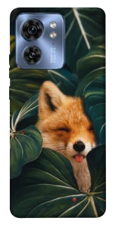 Чехол на Motorola Edge 40 Fox фото 1 из 1