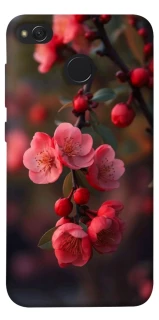 Чехол на Xiaomi Redmi 4X Flowers v28 фото 1 из 1