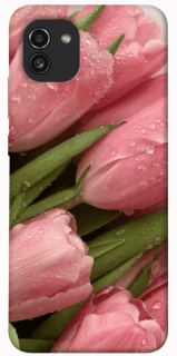 Чохол на Samsung Galaxy A03 Beauty фото 1 з 1