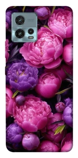 Чохол на Motorola Moto G72 Garden2 фото 1 з 1