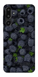 Чохол на Samsung Galaxy F16 Fresh фото 1 з 1