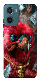 Чохол на Motorola Moto G06 Папуга фото 1 з 1