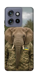 Чехол на Motorola Edge 50 Neo Слон защитник фото 1 из 1