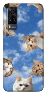 Чохол на Vivo Y31 Сats фото 1 з 1